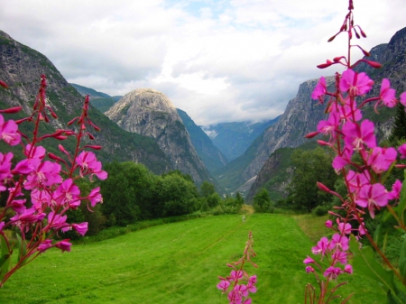 Mountain view - slope, sky, landscape, mountain, hills, summer, lovely, mist, rocks, nature, view, clouds, beautiful, fog, flowers, grass