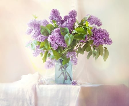 Liliac - beautiful, purple color, flowers, liliac, still life