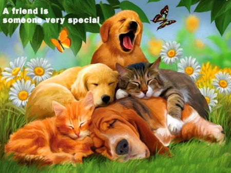 A friend is someone very special - friendship, flowers, leaves, kittens, grass, butterflies, cats, dogs, puppies, daisies