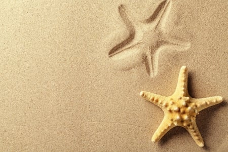 Sand - starfish, sand, print, beach