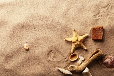 Seashells - starfish, shells, beach, sand