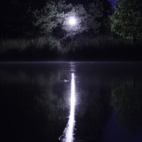 night photography lake