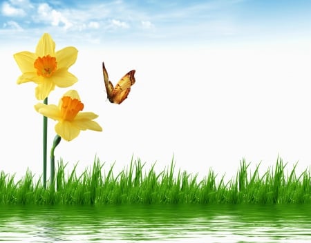 Spring Daffodils - clouds, water, Spring, butterfly, grass, daffodils, sky