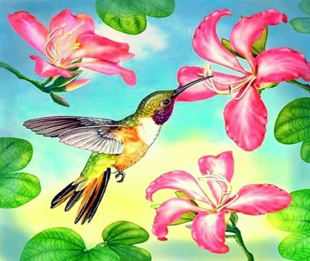 'Bahama Woodstar in Orchid' - pretty, hummingbirds, lovely flowers, birds, summer, creative pre-made, beautiful, paintings, spring, colors, lovely, flowers, love four seasons, animals