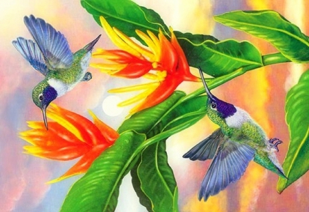 'Black Chinned & Golden Heliconia' - pretty, hummingbirds, lovely flowers, birds, summer, creative pre-made, beautiful, paintings, spring, colors, lovely, flowers, love four seasons, animals