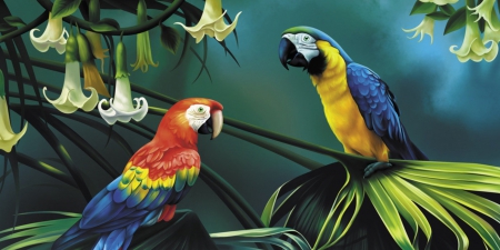 Macaws - flowers, white, yellow, beautiful, red, macaws, art