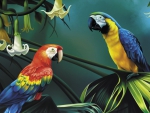 Macaws