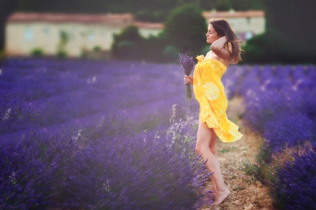 ...a new day has dawned - field, girl, flower, lavender