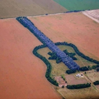 7000 TREES PLANTED...ARGENTINA