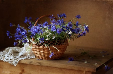 Still life - basket, blue flowers, home style, still life