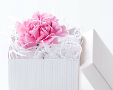 Box of flowers - flowers, box, white, pink