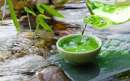 Green Tea - dribk, tea, green, bowl