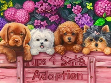 Pets for adoption - pets, pretty, summer, beautiful, puppies, paws, sweet, flowers, dogs, painting, garden, cute, friends, adorable, art