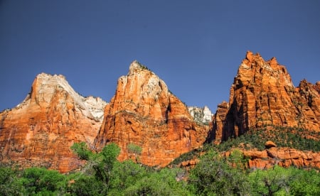 Zion National Park - usa, utah, trees, landsape, peaks