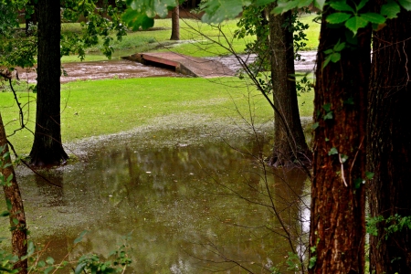 Flood Waters Rising - flood waters, river, flooding, wild river, flood, Flood Waters Rising