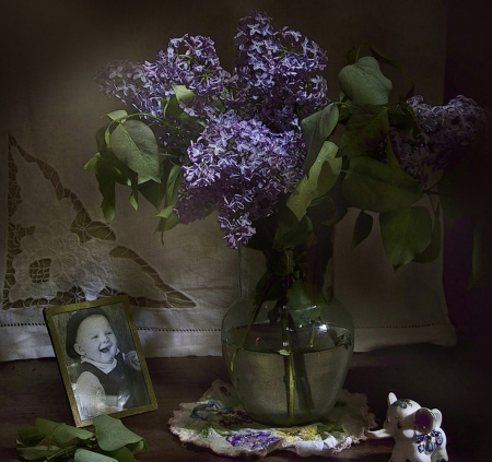 Still Life - flowers, photo, purple, still life