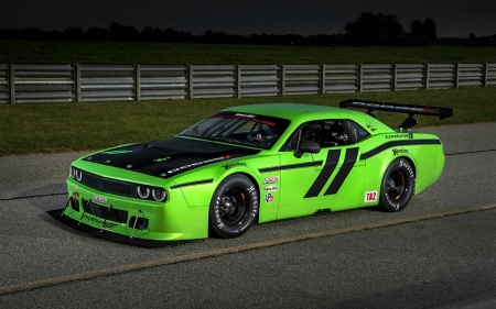 2014 Challenger SRT Trans Am - 2014, cars, srt, challenger