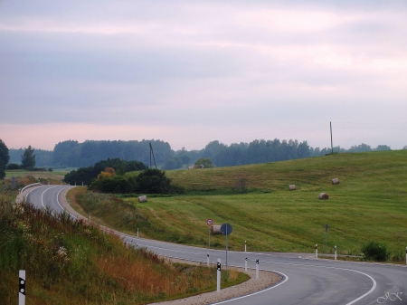 Summer evening. - sunsets, nature, fields, other