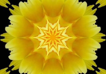 YELLOW FLOWER ABSTRACT - flower, yellow, creation, abstract