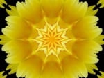 YELLOW FLOWER ABSTRACT