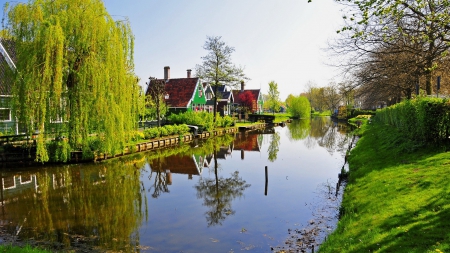 Netherlands Landscape - netherlands, canals, houses, trees, architecture