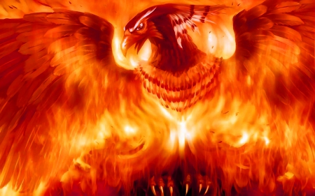 Phoenix - abstract, firebird, bird, phoenix, creature, fantasy, SkyPhoenixX1, fire, wings, inferno, flames, sky