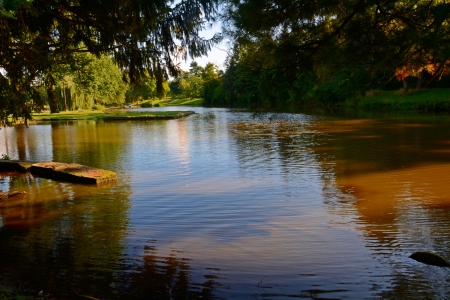 Summer Park - summertime, Summer Park, summer pond, scenic pond, pond