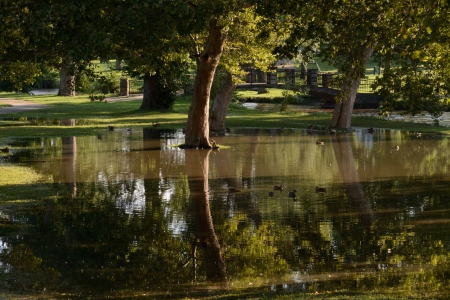 River Reflections - river reflections, scenic, serene, tranquil, peaceful