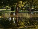 River Reflections