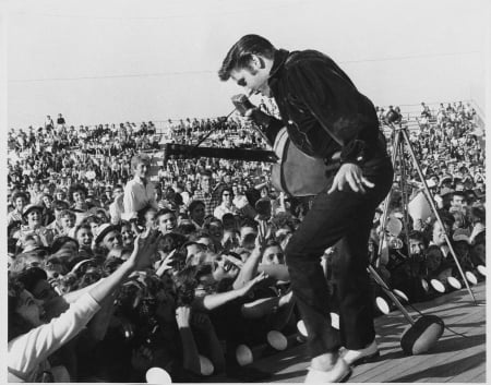 ELVIS PRESLEY - presley, rock and roll, the king, elvis