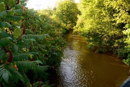 Oh So Inviting - lake, oh so inviting, river, stream, lagoon, park, pond