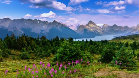 Landscape with mountain and river - trees, summer, beautiful, landscape, grass, mountain, flowers, river, nature, sky