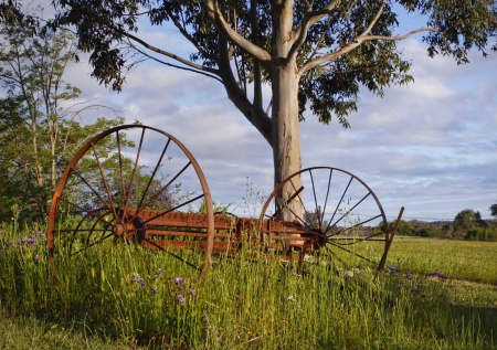 Country Metal Wheels - metal, sky, trees, field, country, nature, white, wheels, weeds, clouds, living, blue, leaves, green, grass