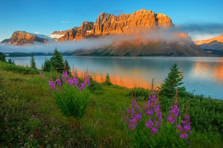 Bow Lake At Sunset - lake, banff national park, water, mountains, sunset, forest, beautiful, clouds, canada, flowers, grass