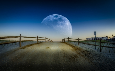 Summer night - moon, night, summer, photo