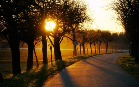 Hazy Sunset - nature, sunset, trees, road