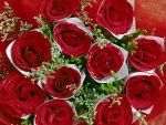 Red Roses