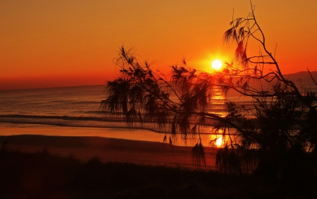 Fiery sunset - branches, beach, sky, summer, shore, sunset, lovely, waves, nature, amazing, fiery, river, beautiful, awesome, sea