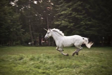 Running - white, grass, away, unicorn