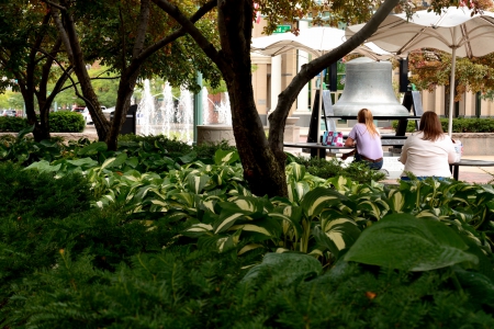 Lunchtime - dinner, outdoors, friends, good friends, park, Lunchtime