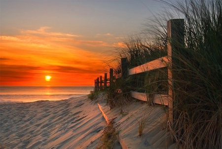 Sandbridge Beach, Virginia - beach, sky, ocean, fence, reeds, yellow, beautiful, clouds, orange, sunrise, sand