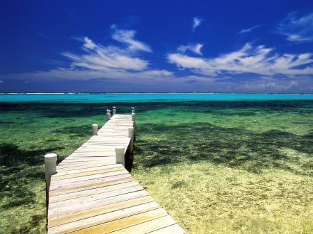 Lake Pier - lakes, nature, pier, piers