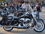 Bike show summer 2014 @ Brampton Ontario Canada