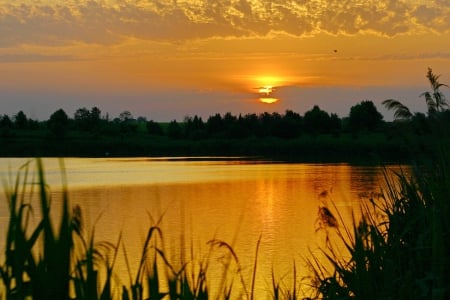 Golden Sunset - nature, lake, scenery, splendor, golden, sunset