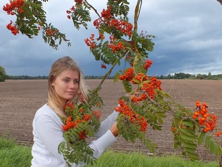 Bye-bye summer! - nature, fields, autumn, other