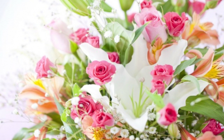 Beautiful Flowers - flowers, roses, bloom, petals