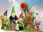 GNOME GARDEN