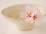 Flowers in a bowl