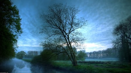 Rainy Day - nature, cloudy, trees, rain