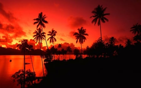 Red and shadow - trees, sunset, shadow, sky